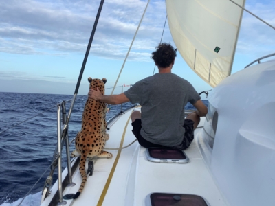 David Mitchell Catamaran Captain Leopard